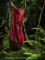 OUR INSTRUCTORS Ridha Kusumabrata 16 r_photo1404a