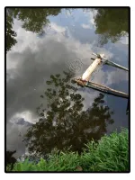 OUR INSTRUCTORS Dian Mayori 3 ~blog/2022/5/23/21