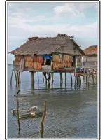 OUR INSTRUCTORS Dian Mayori 8 ~blog/2022/5/23/67